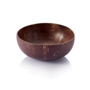Natural Coconut Bowl